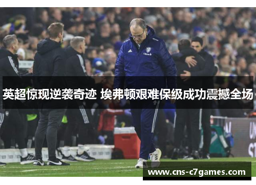 英超惊现逆袭奇迹 埃弗顿艰难保级成功震撼全场
